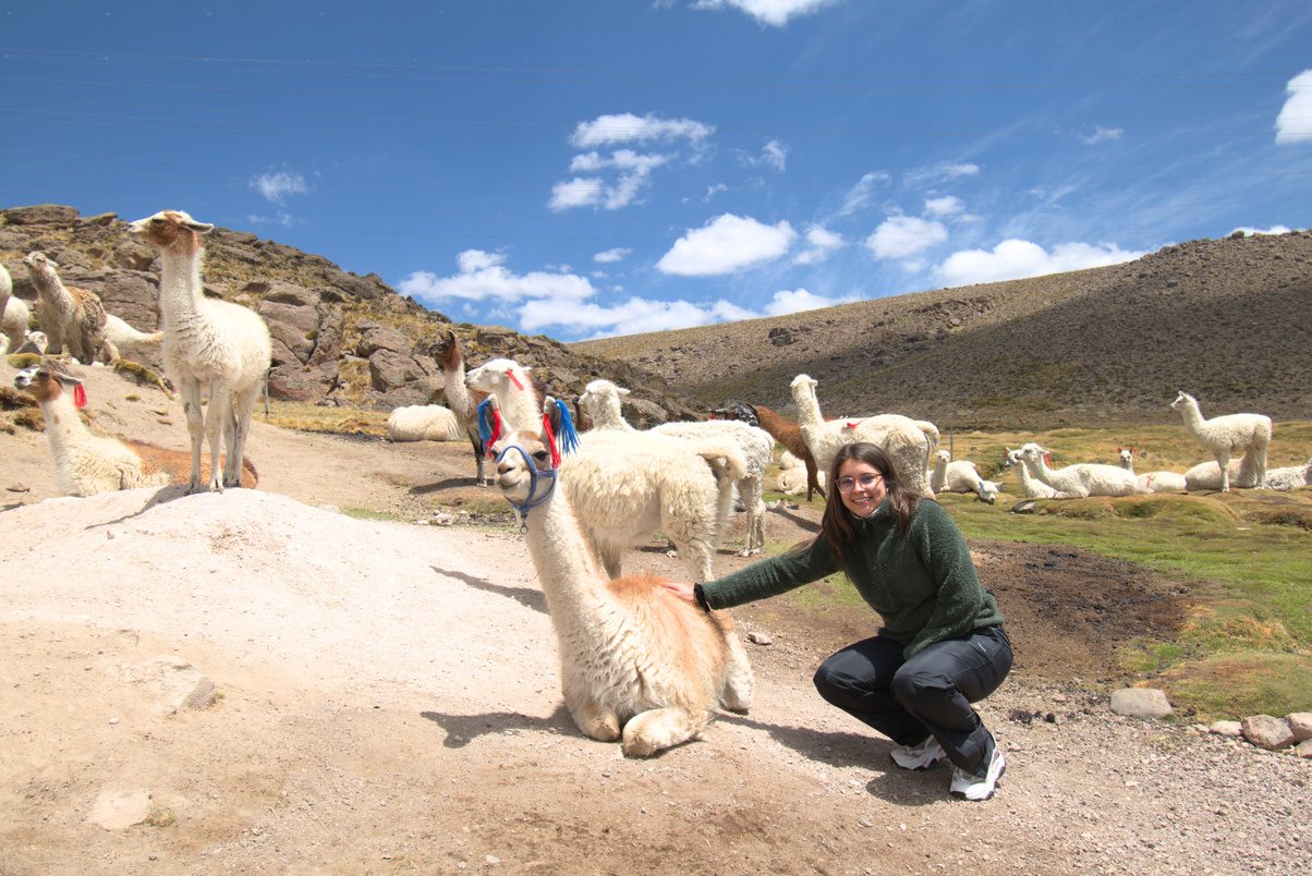Cañón del Colca · Full Day