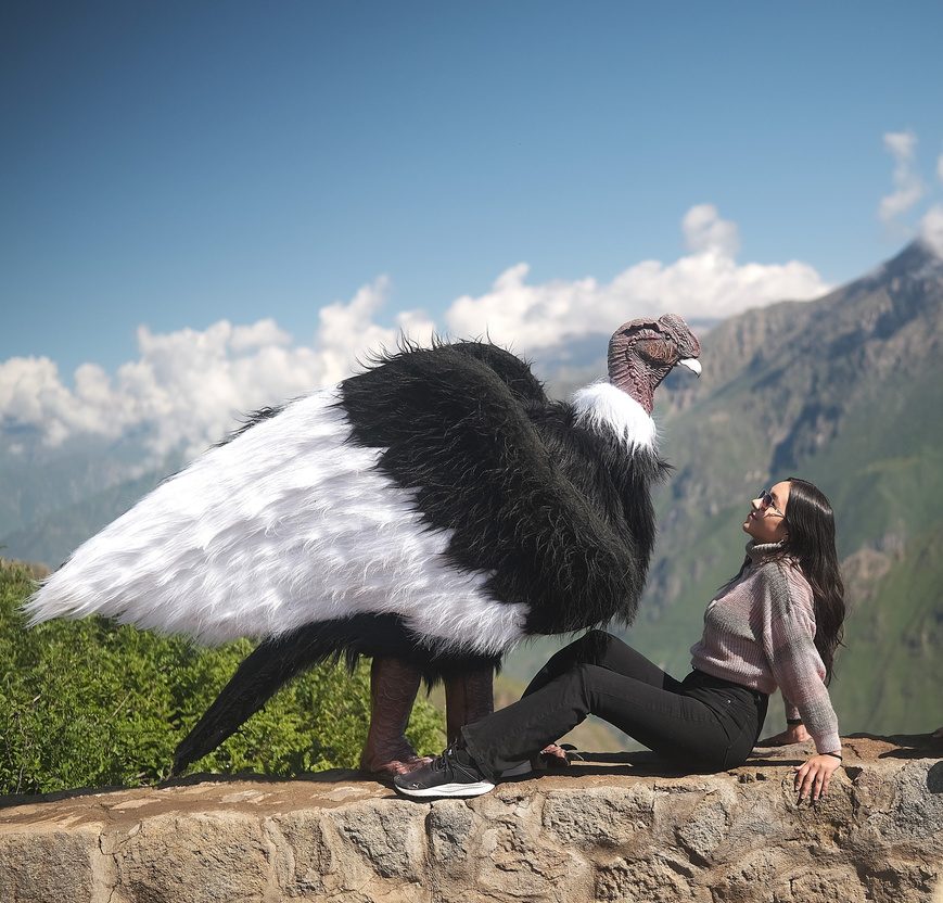 Cañón del Colca · Full Day