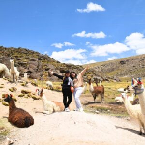 Traslado Chivay – Puno