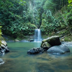 Cascadas de Pishurayacu