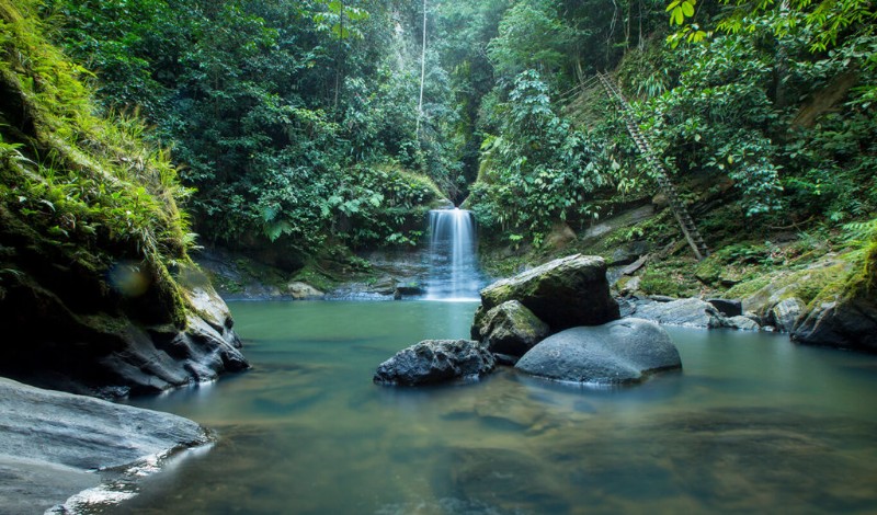Cascadas de Pishurayacu